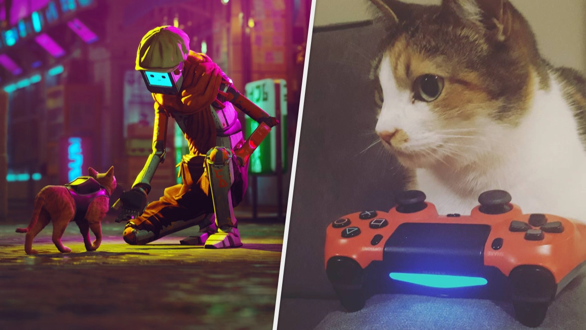 Stray, As Reviewed By My Cat
