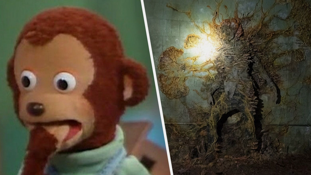 Killer fungus just infected its first human - uh oh