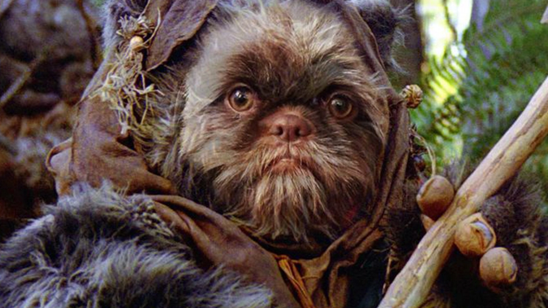 Star Wars Ewoks with no fur are the worst thing I've ever seen