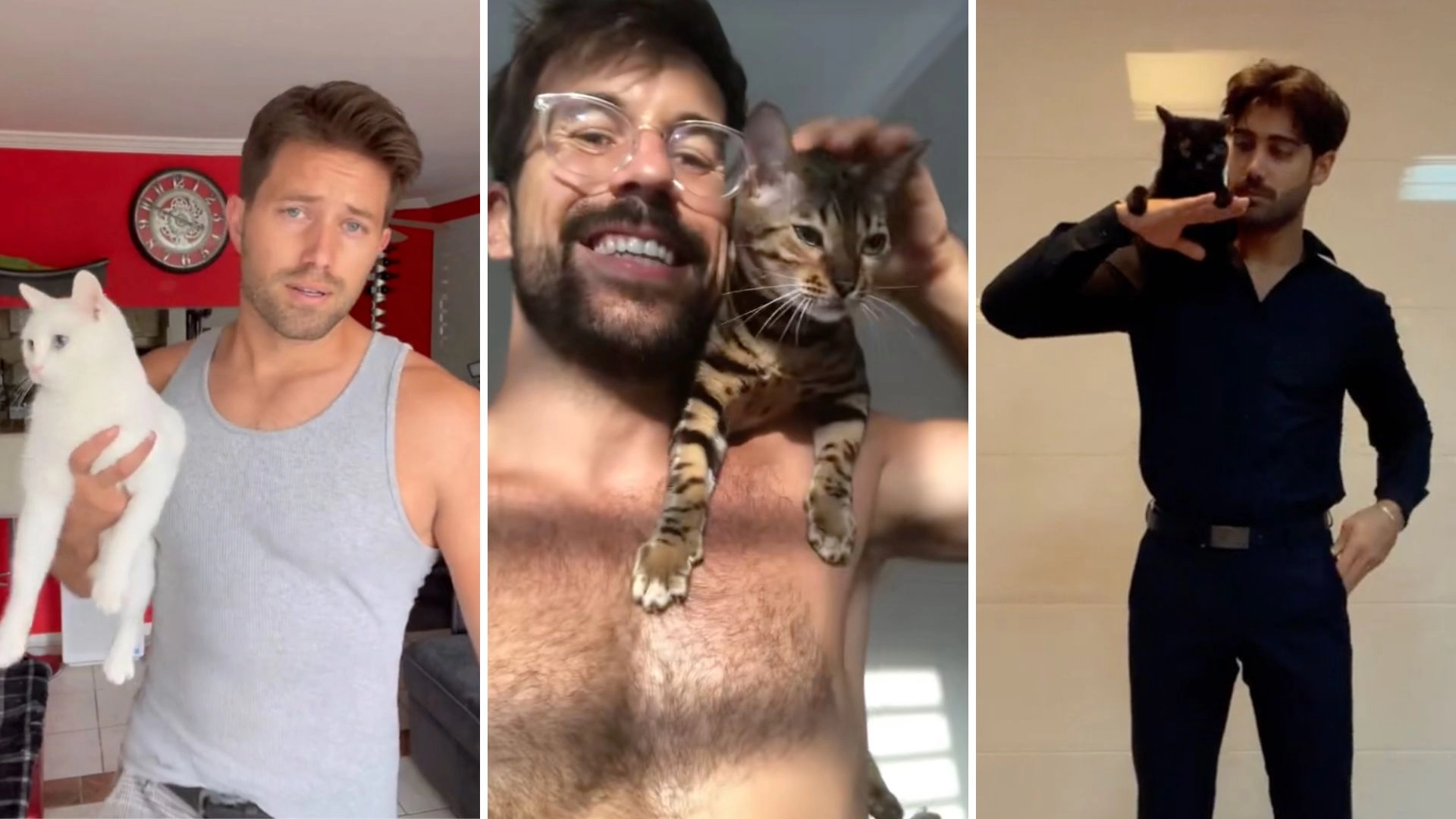 The Rise Of Hot #CatDad Content Might Influence Who You Swipe On Next