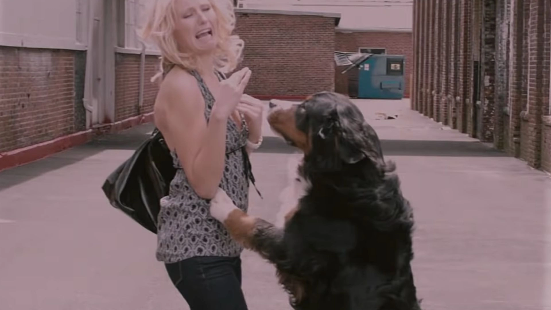 Dogs Have Taken Over The City And The Pet-Free Population Is Over It