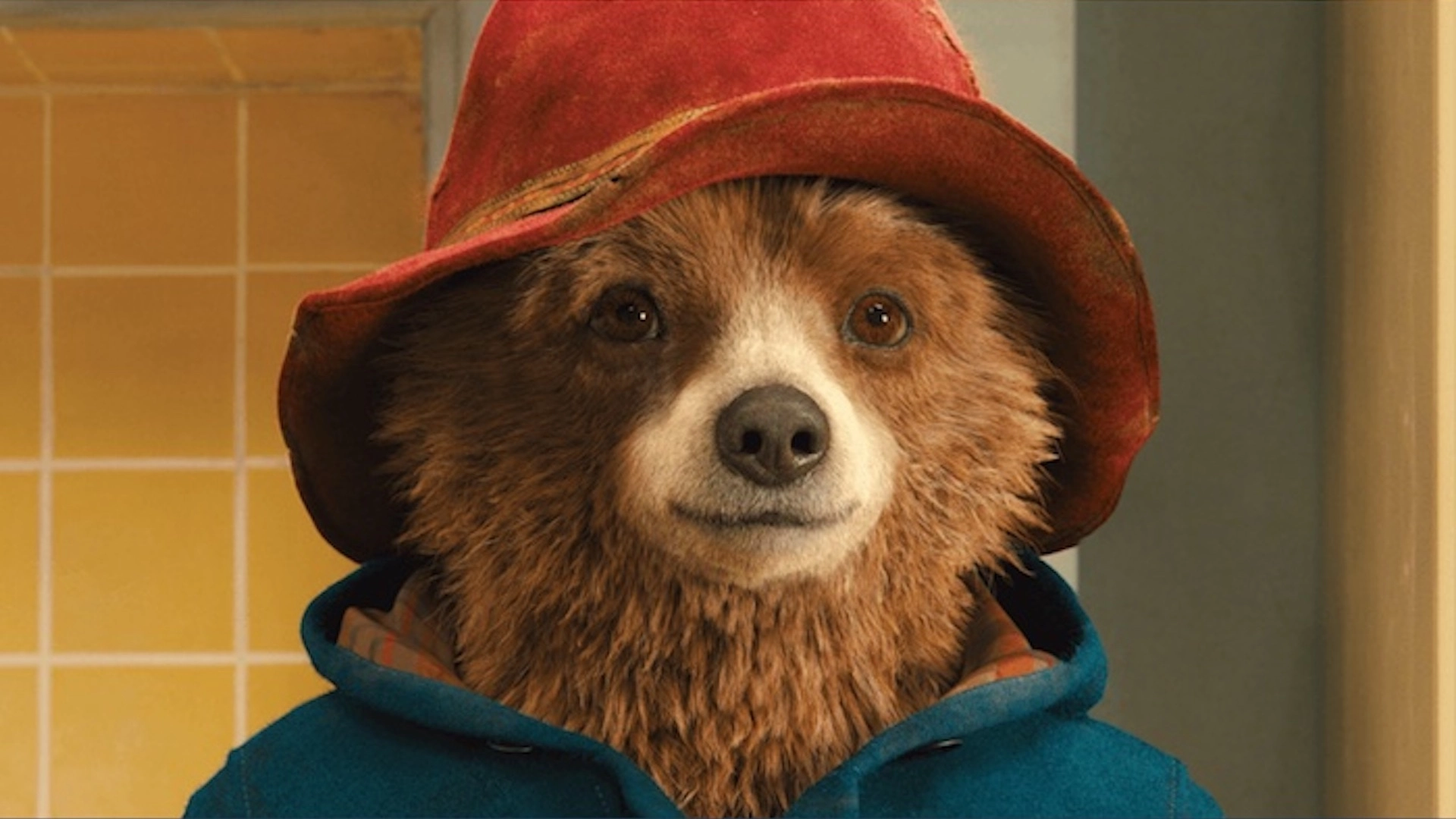 Paddington Bear Is Actually a Lifestyle Icon, Hear Me Out