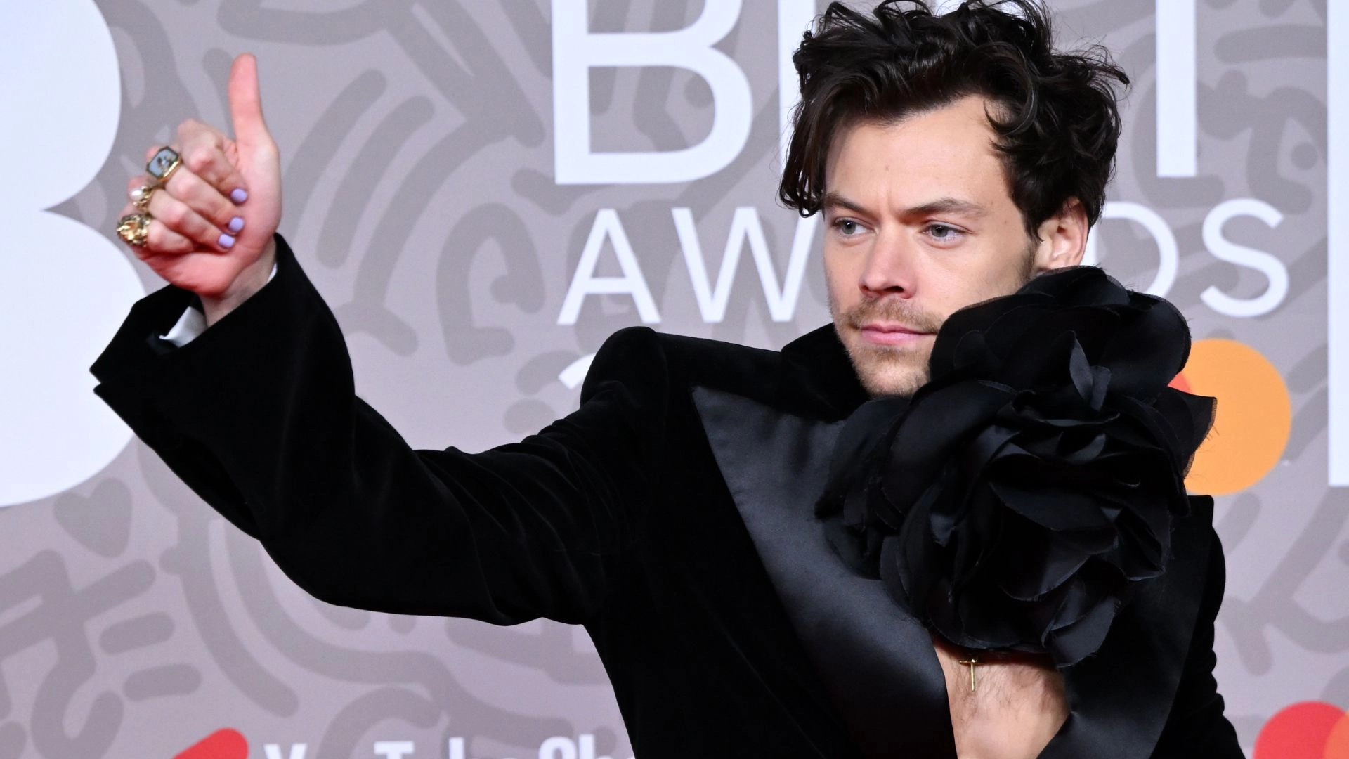 Yes, Hi, I’d Like To Apply To Be A Harry Style’s Tour Guide?