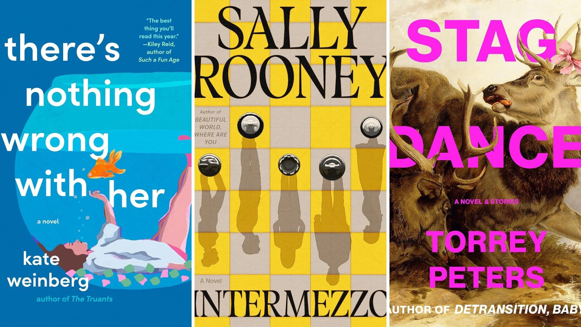 Books To Read If You Love Sally Rooney And Being a Sad Literary Girlie