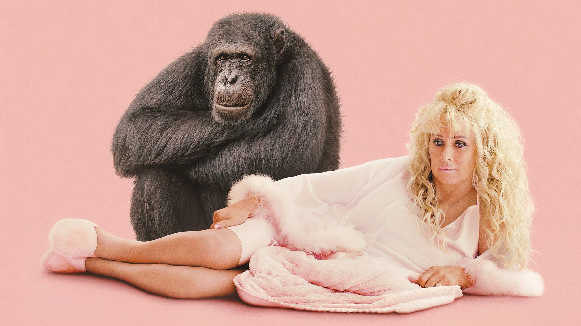 Where In The World Is “The Dolly Parton Of Chimps” Now?