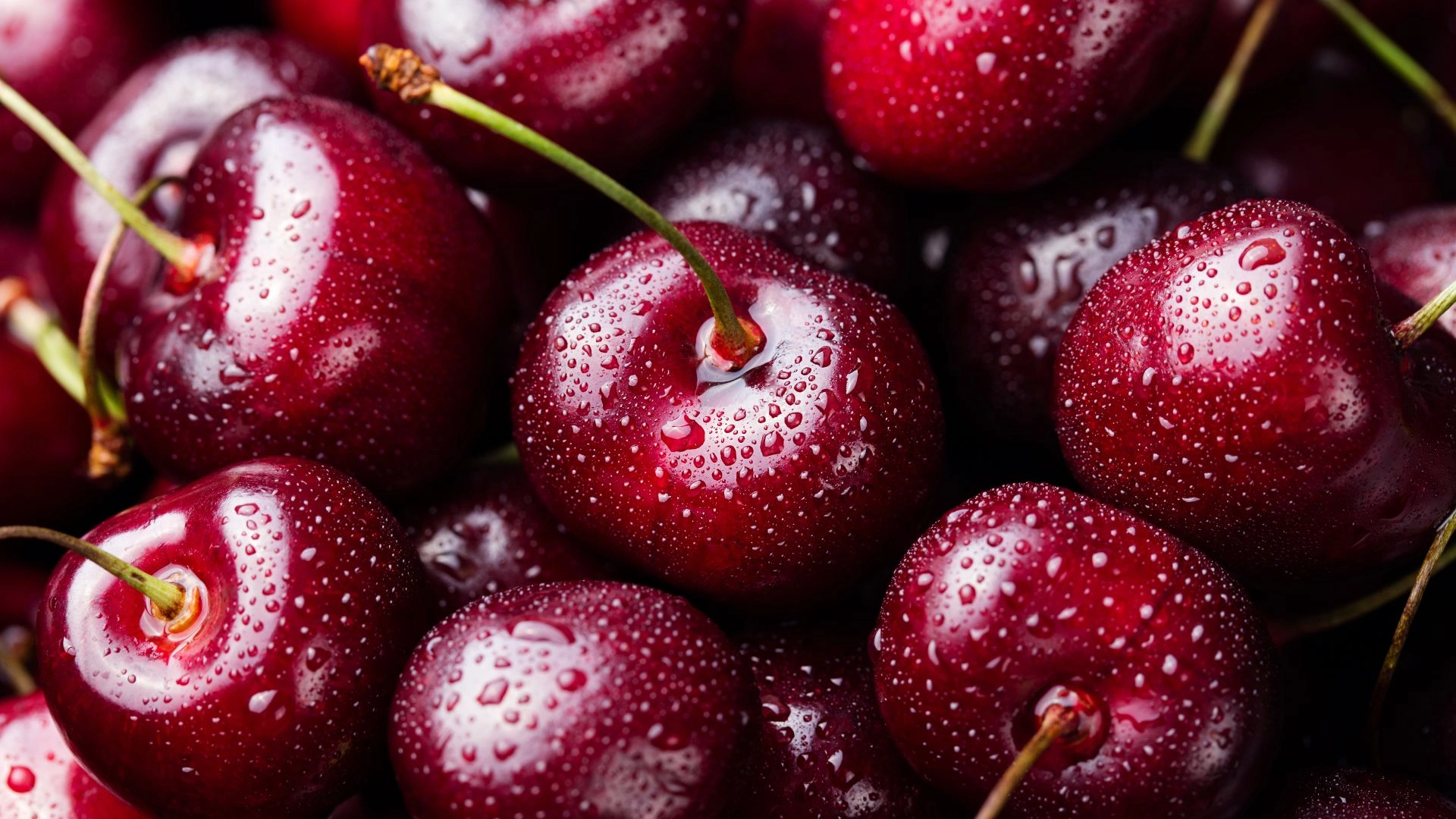 Black Cherry Is Officially The It Color Of 2025 — Here Are the Products You Need to Add To Cart
