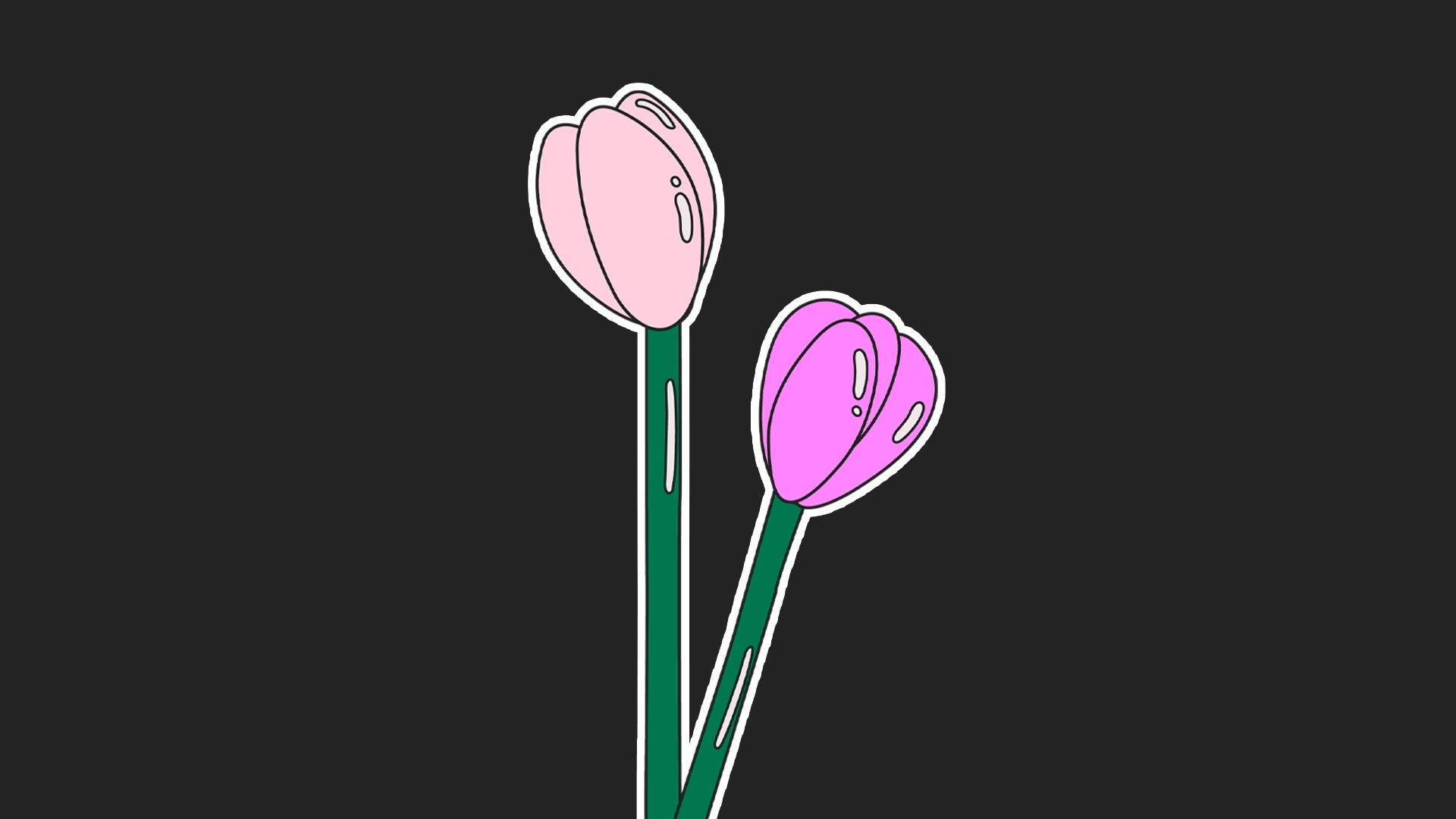 Why I’m Glad I Was A Late Bloomer