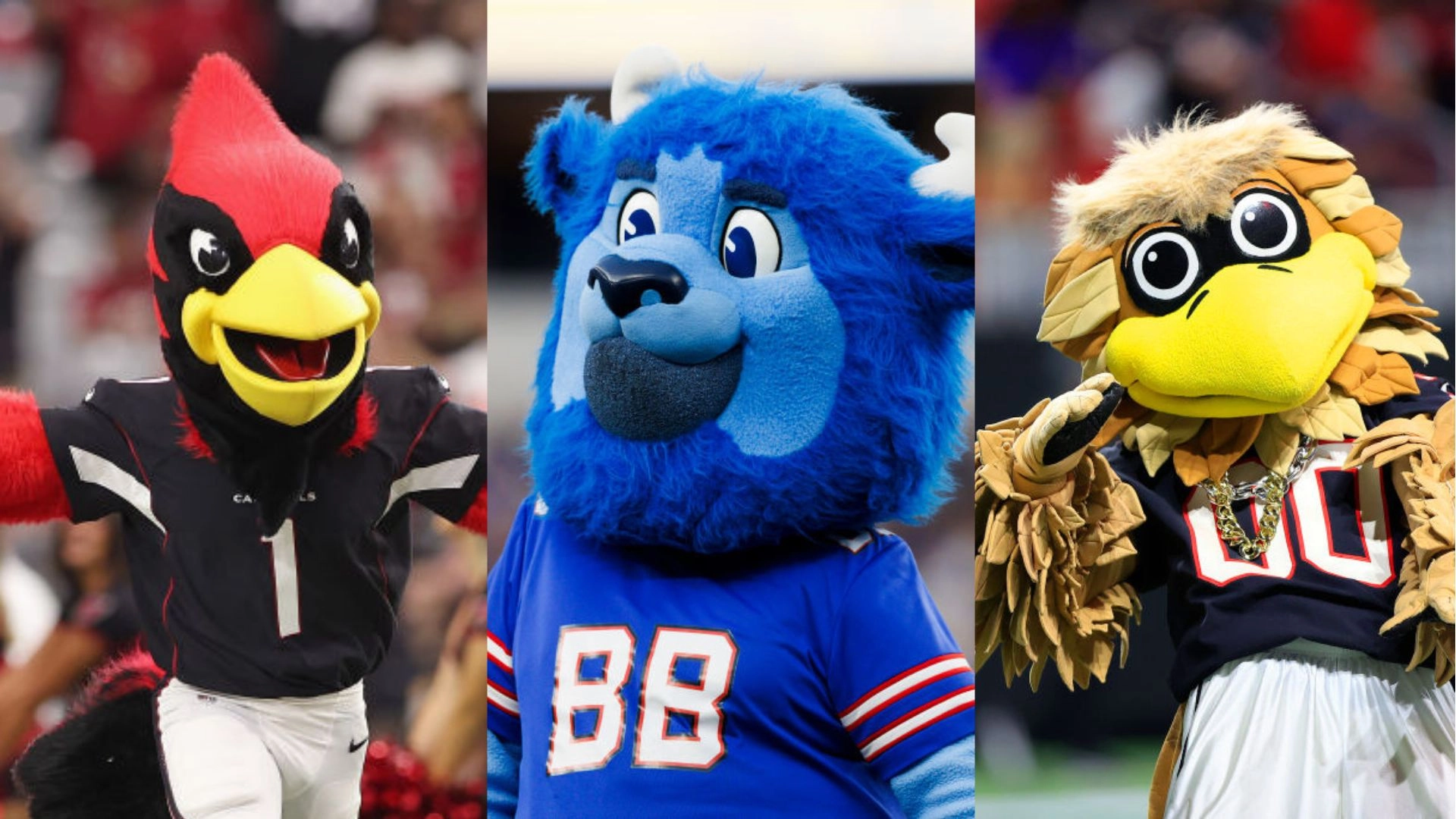 Ranking NFL Mascots Based on How Likely They Are to Backstab You In the Office 