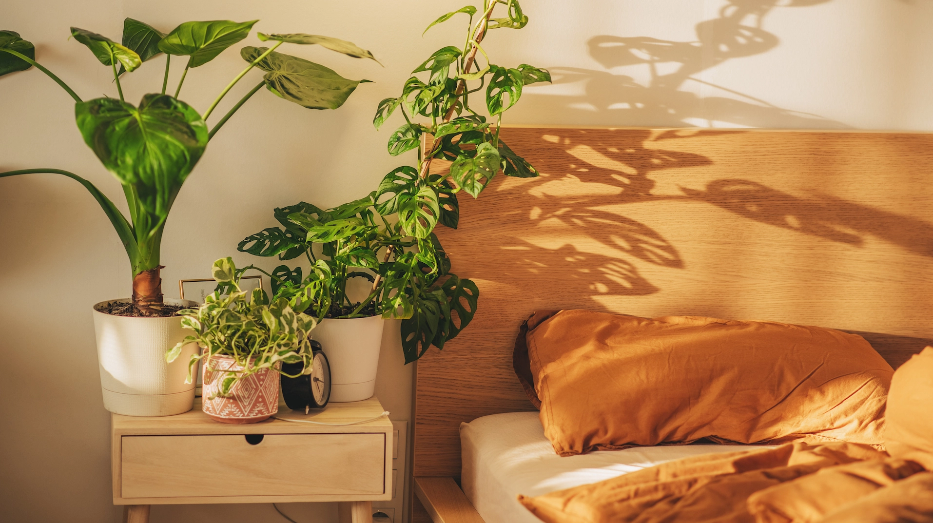 Decorating Your Apartment Based On Your Moon Sign Could Change Your Universe