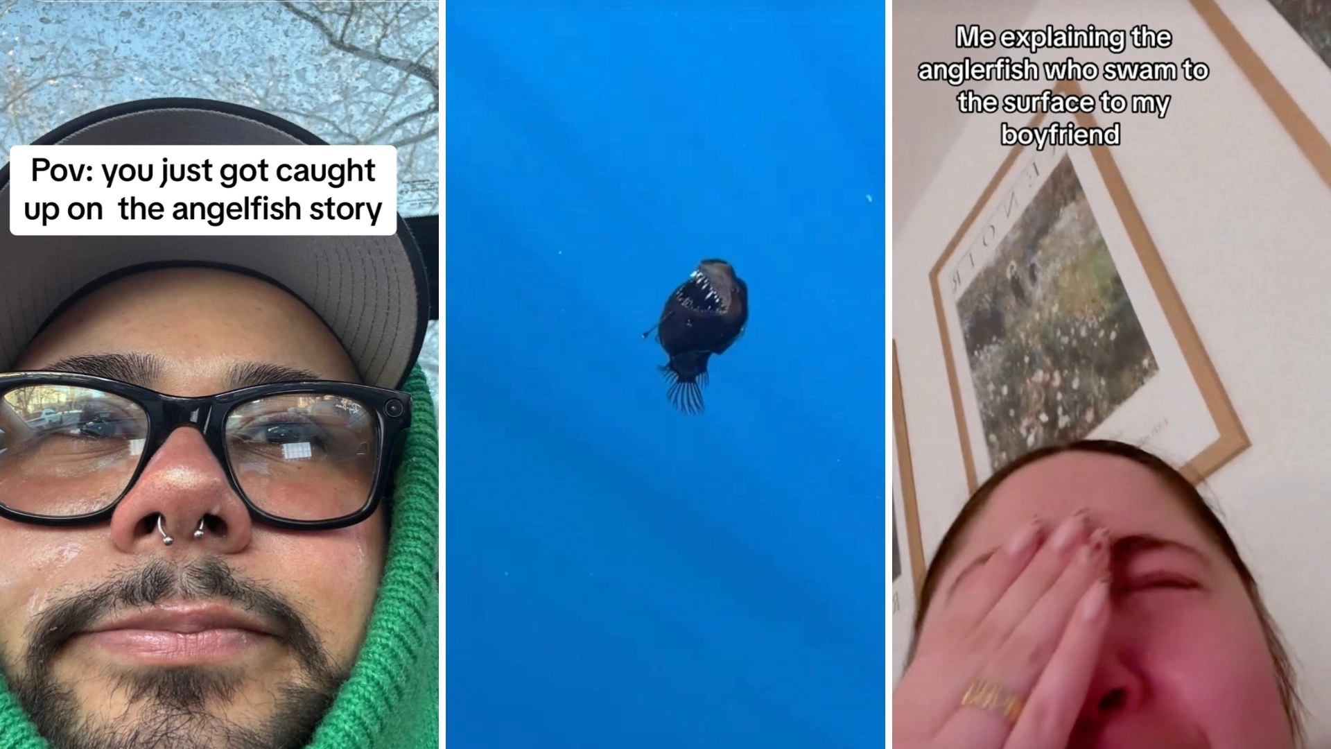 BRB, Crying About This Anglerfish’s Journey To See The Sun