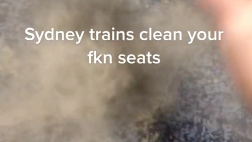 Horrifying Footage Shows Just How Filthy Sydney Trains Are