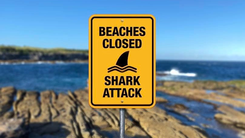 Beaches From Bondi To Cronulla Closed After Fatal Shark Attack