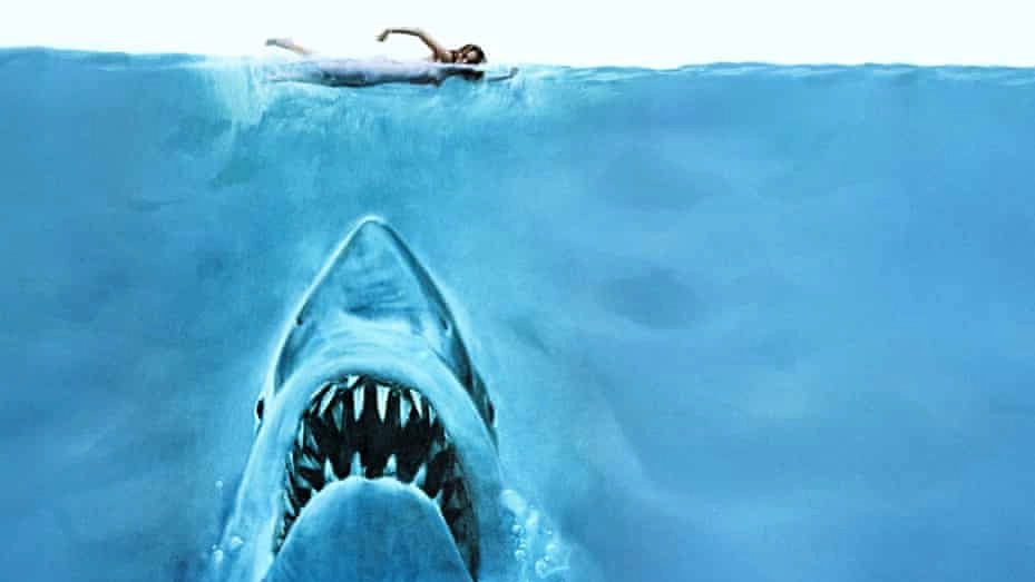 Channel 9 Pulls Jaws From TV Schedule Following Fatal Shark Attack
