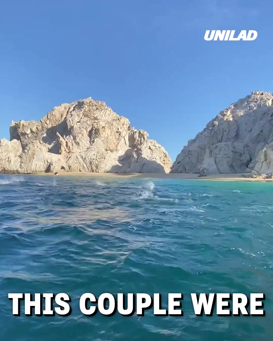 Manta Ray's Jumping Out of Water