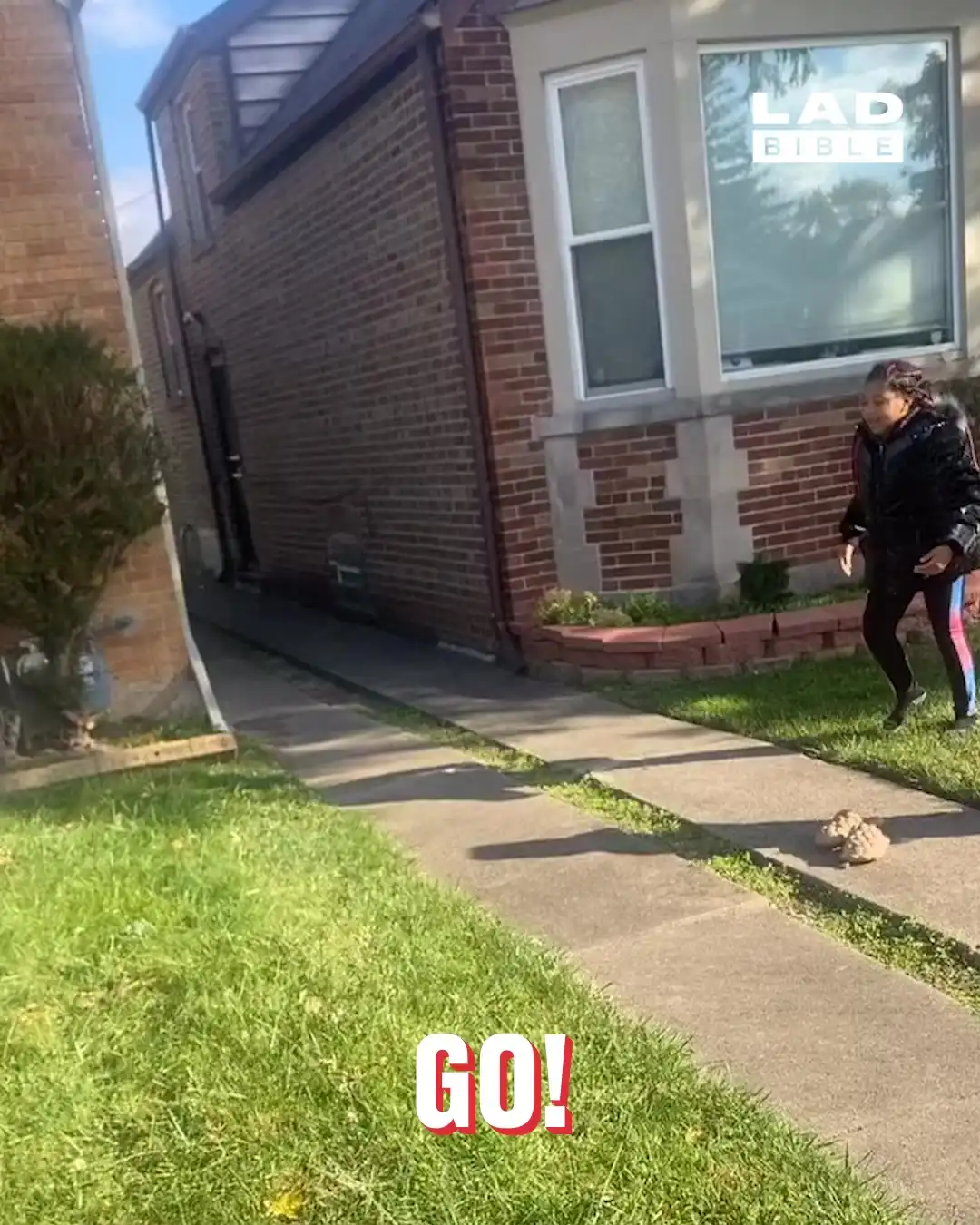 Toddler tries to cartwheel like big sis