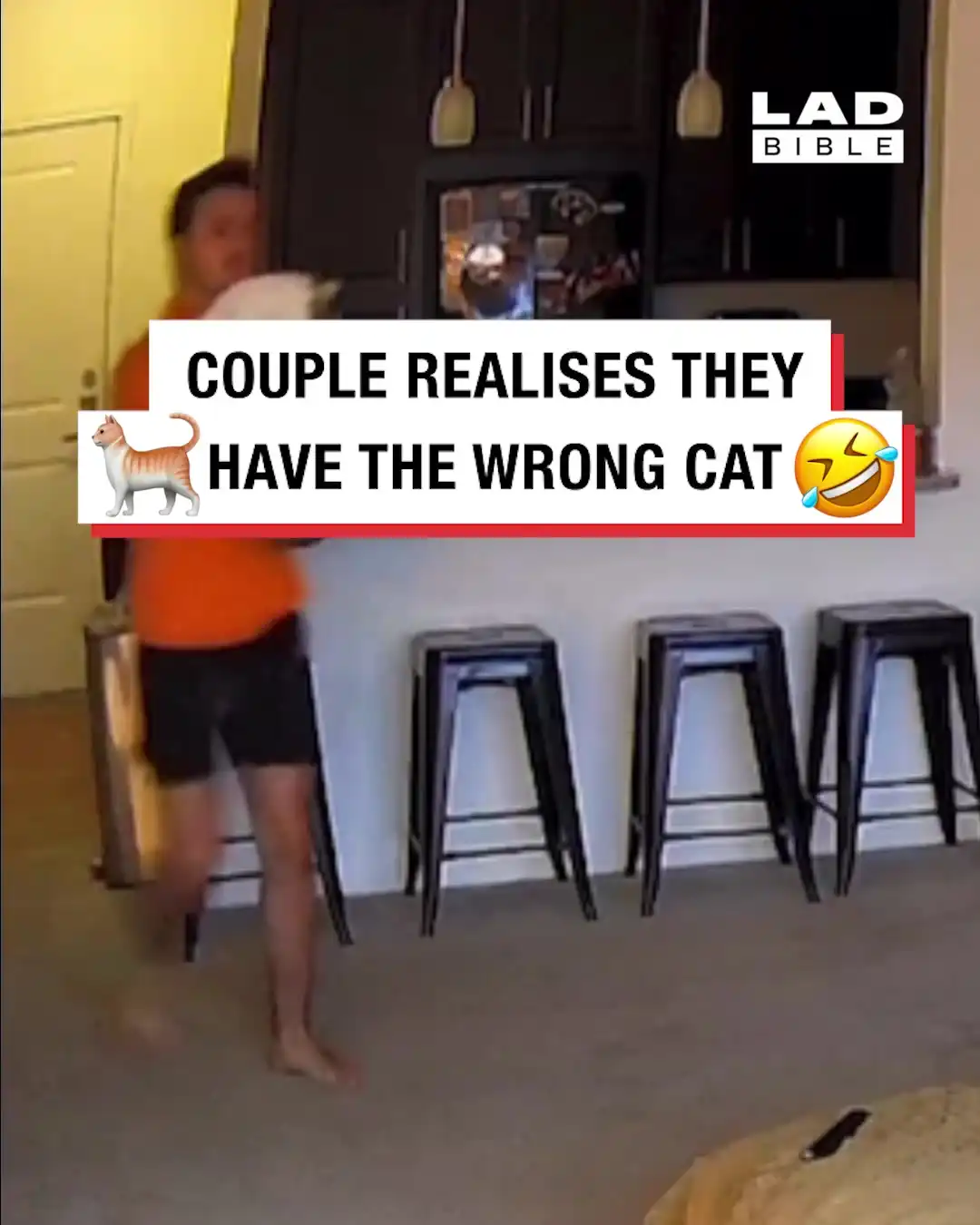 Couple realises they have the wrong cat