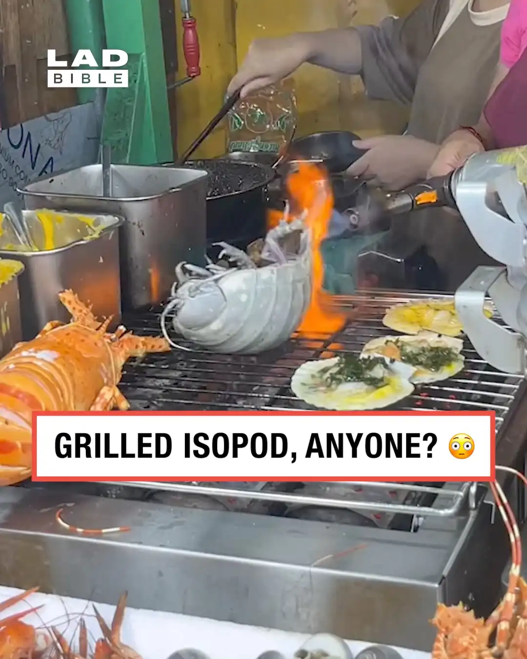 Grilled Isopod