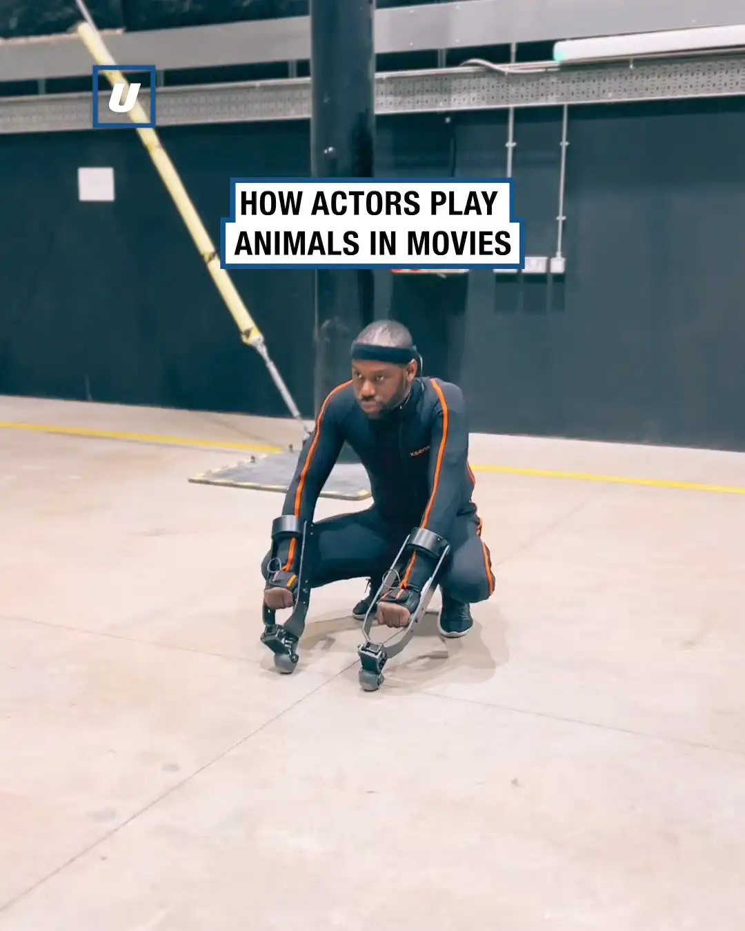 How We Prep VFX Animal Actors