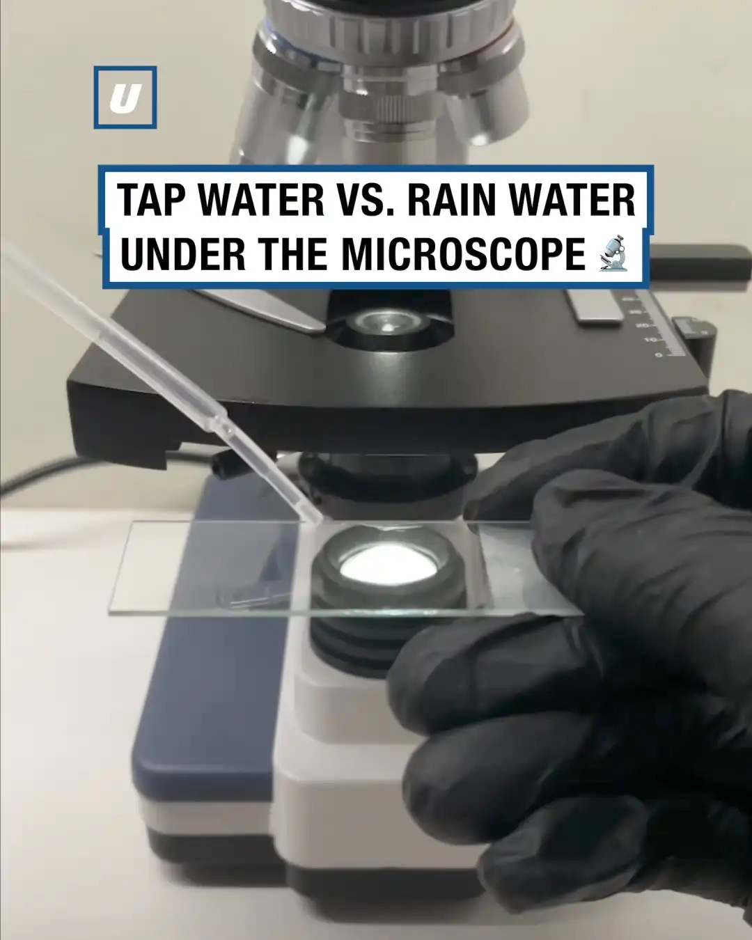 Tap water vs rain water under a microscope