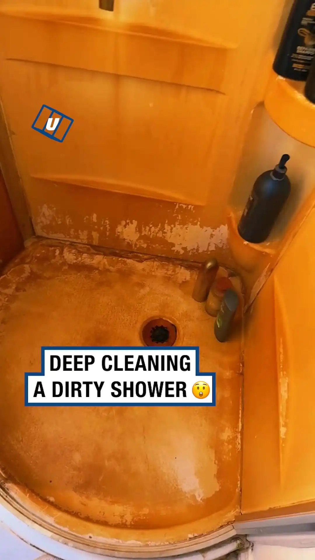 Cleaning my disgusting shower