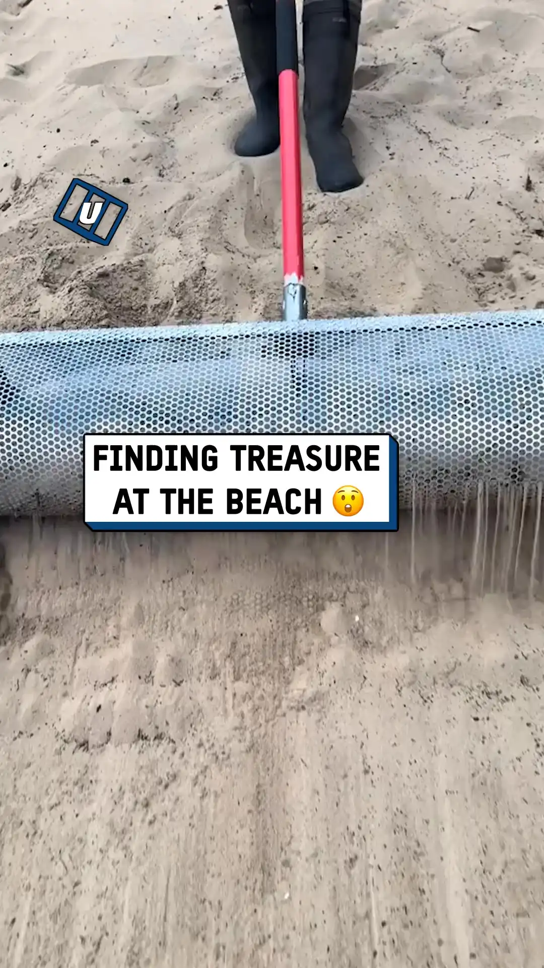 Finding treasure at the beach