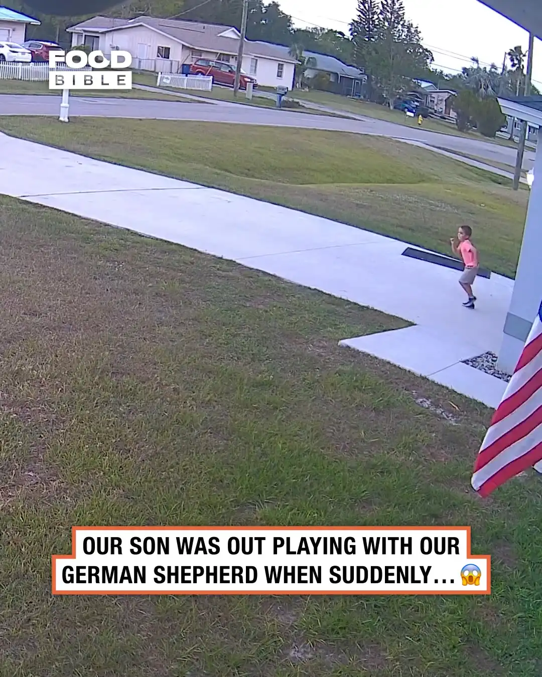 German shepherd saves boy from vicious dog π³π±