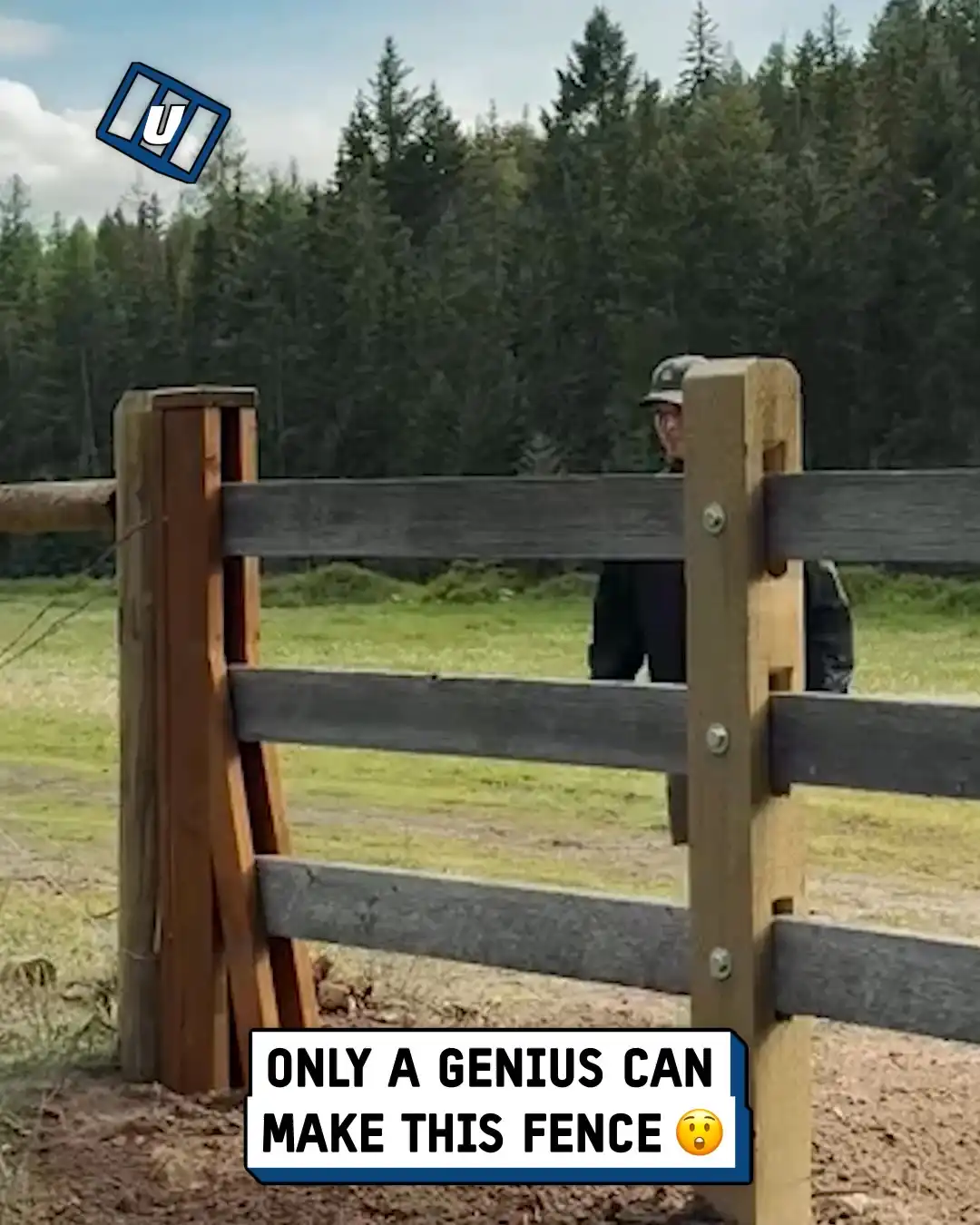 Intricate fence design