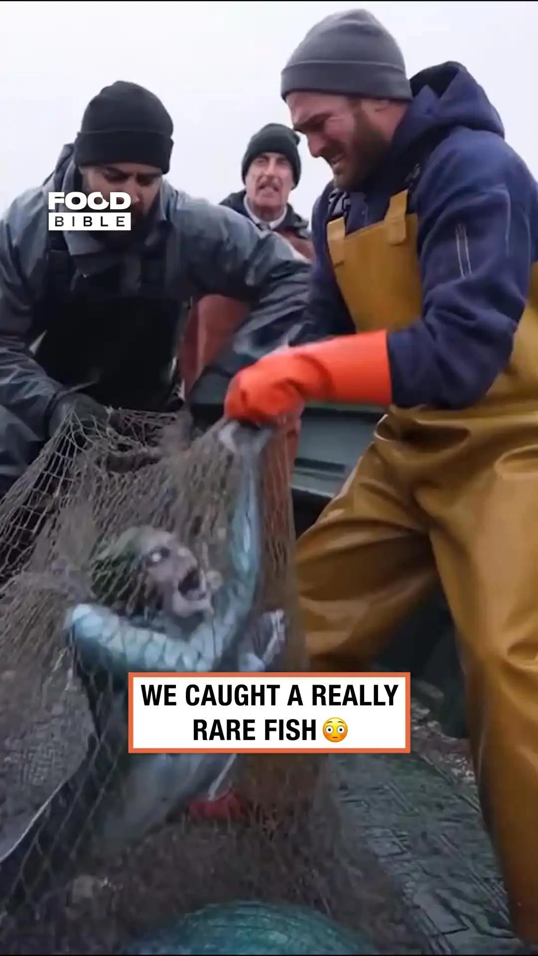 We caught a rare fish π³