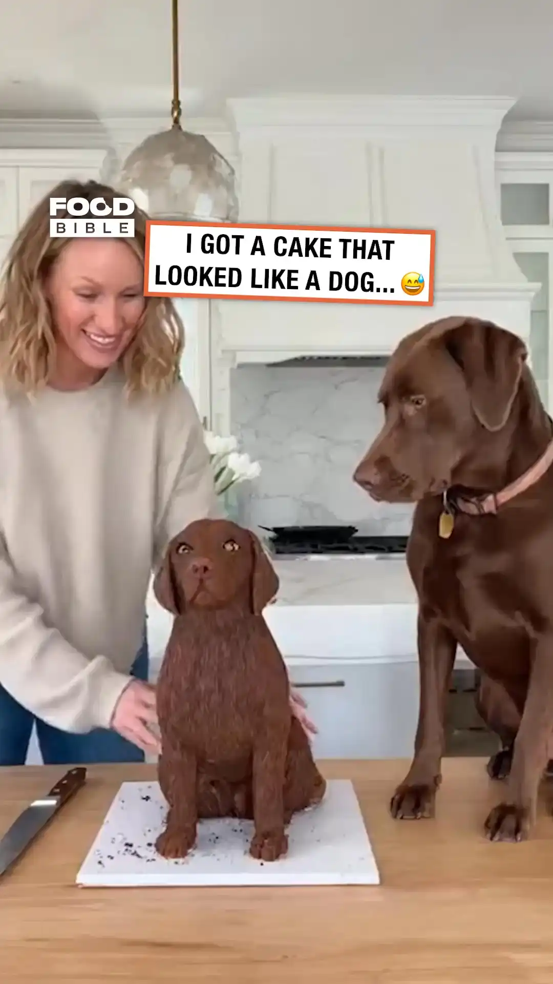 Dog reacts to dog cake being cut 😱🐶