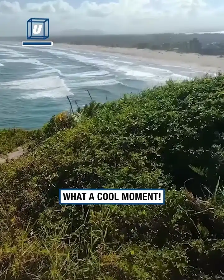 Police helicopter takes photo with tourists