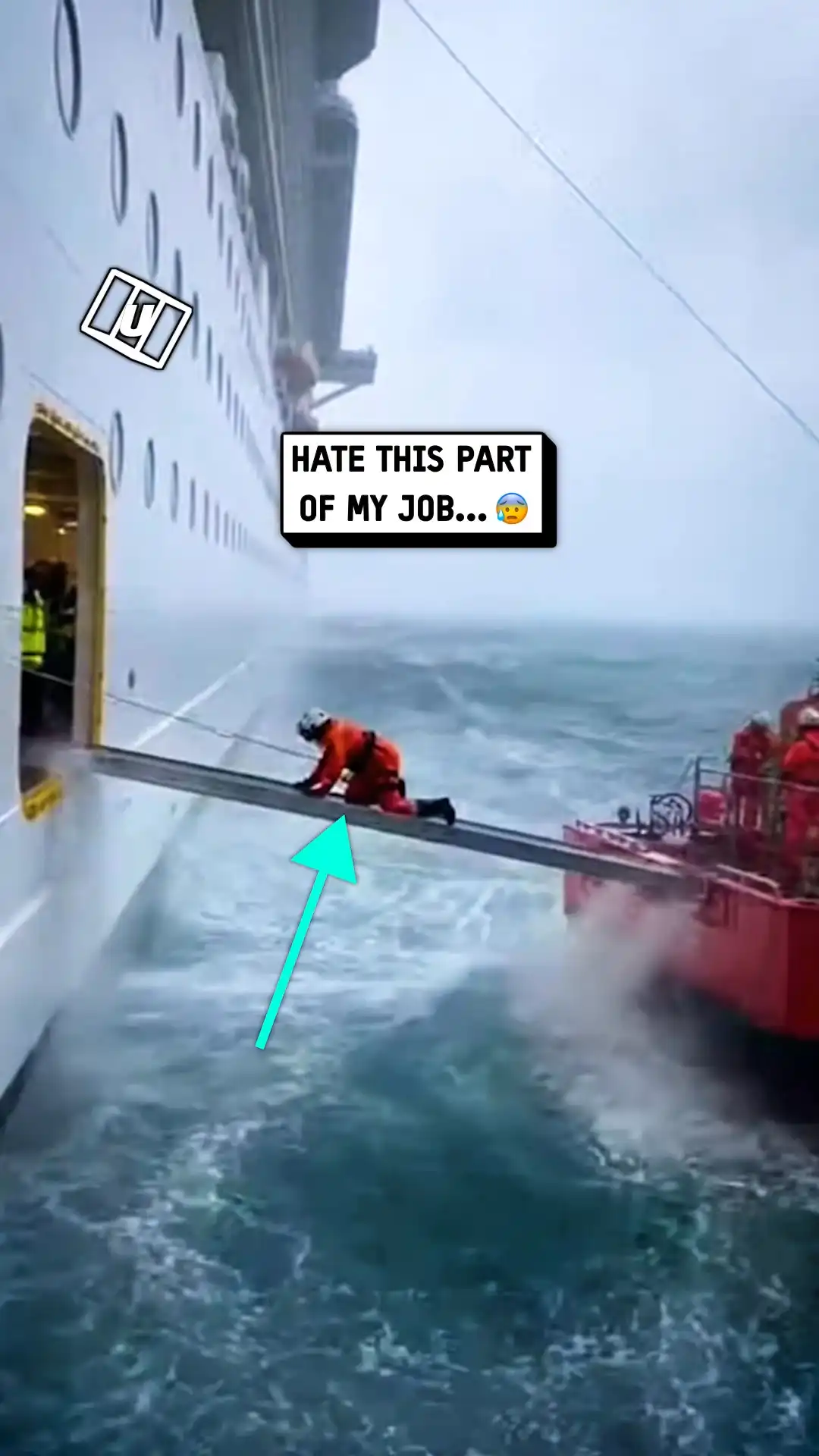 Walk the Plank 😨⛴️