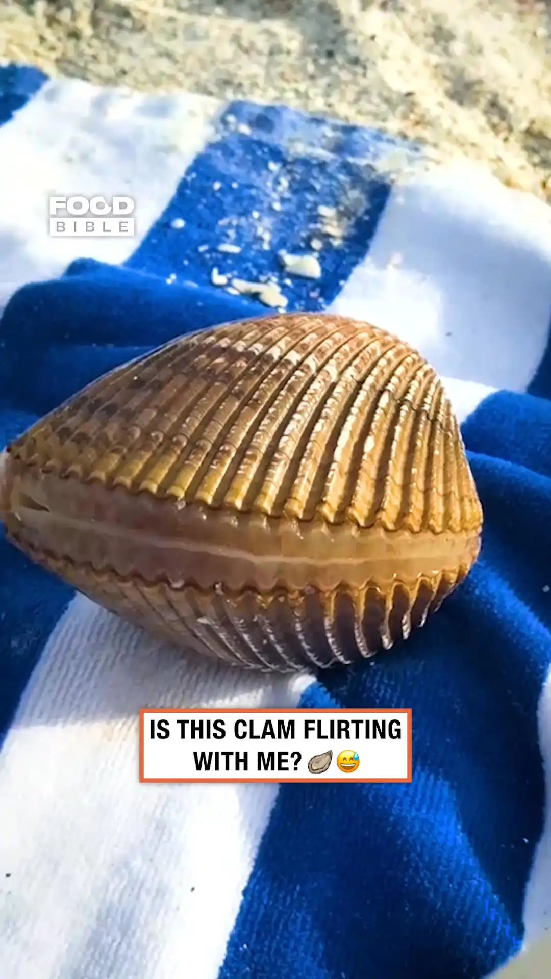 Clam Foot reveal 🐚