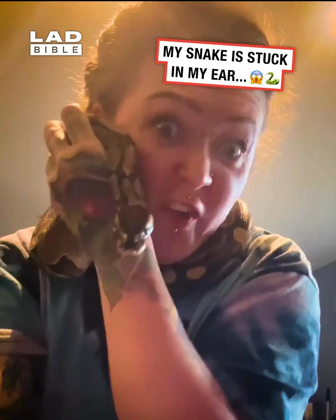 My snake got stuck in my ear 😳