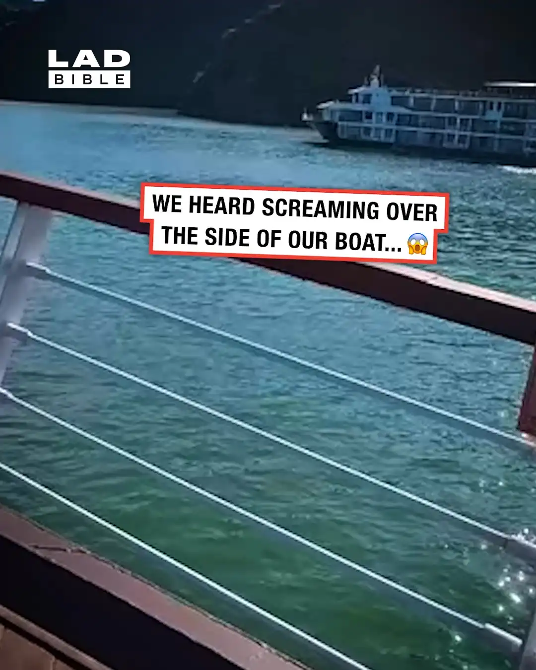 Kayakers panic after crashing into our boat 😅🫣