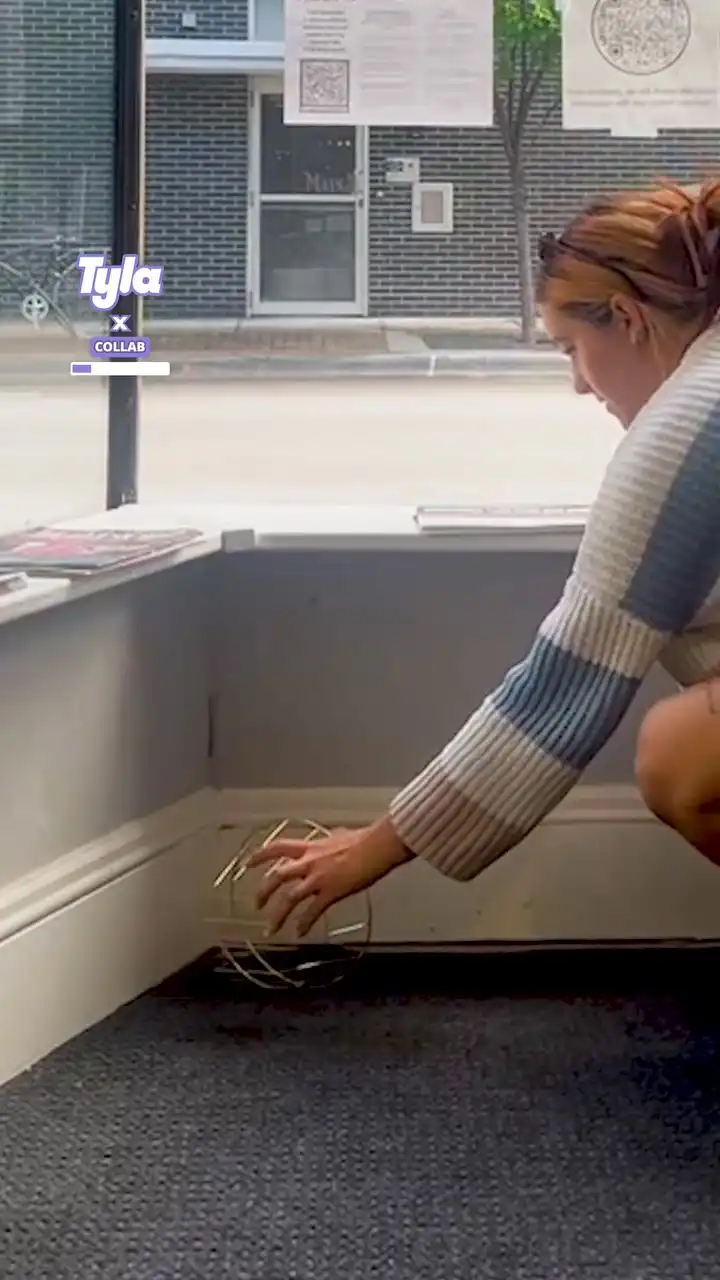 The bird said you're stuck with me now 😂