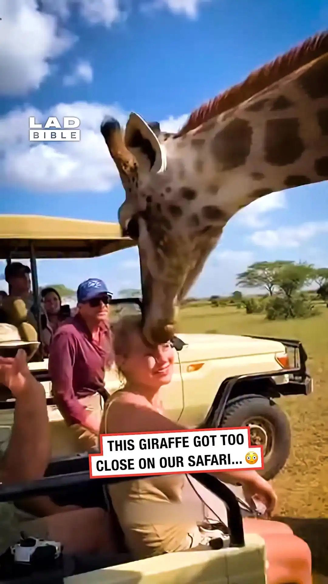 A giraffe stole my wife 😳