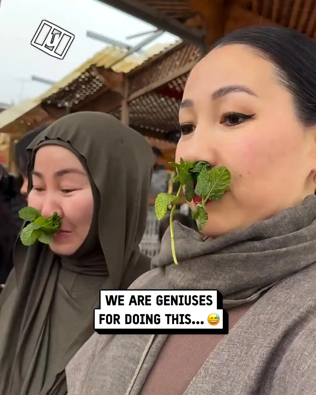 Mint up my nose 😳🍃