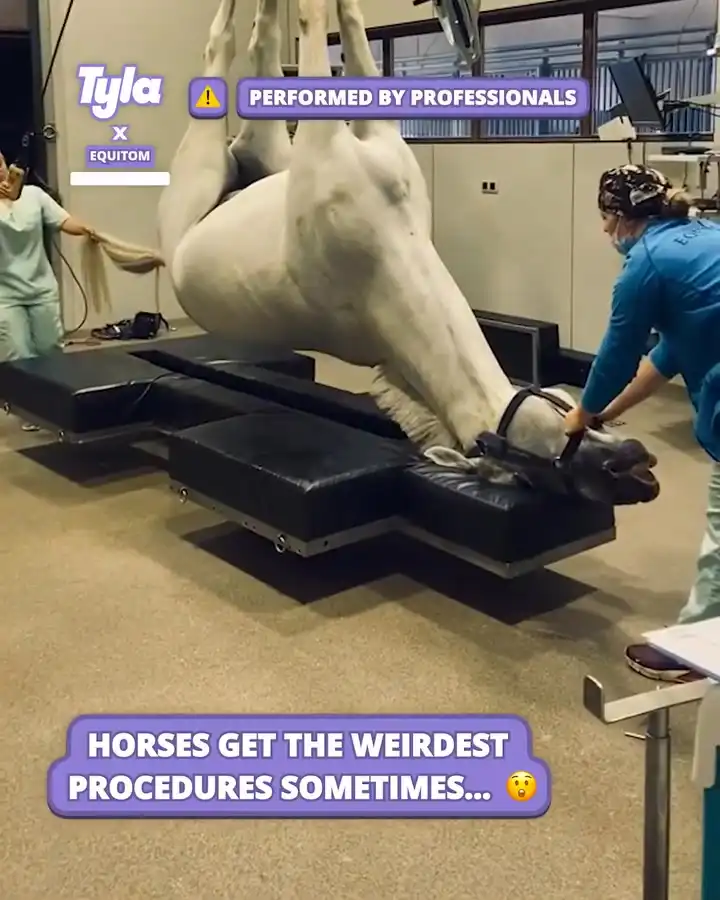 No one said it was an easy task 😳