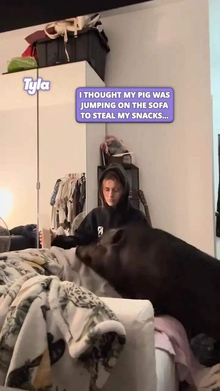 He looks like he gives the best cuddles ๐ฅน๐ฅฐ