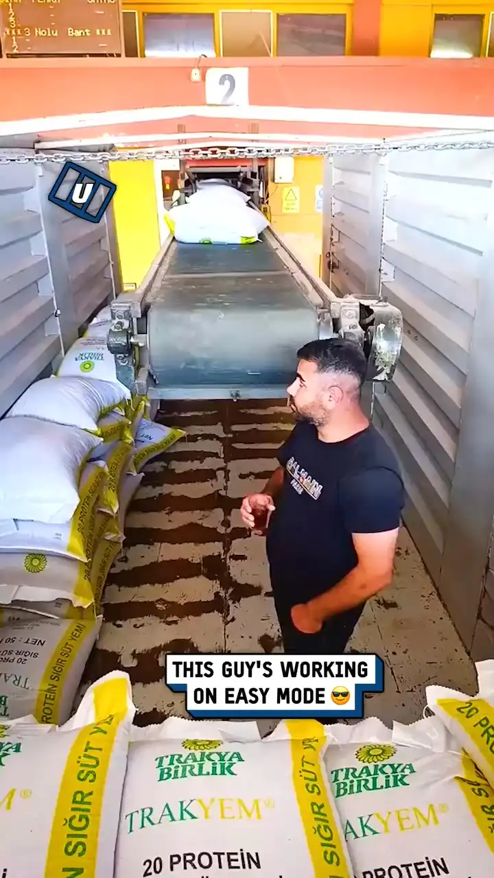 When you're working on easy mode 😎🤣