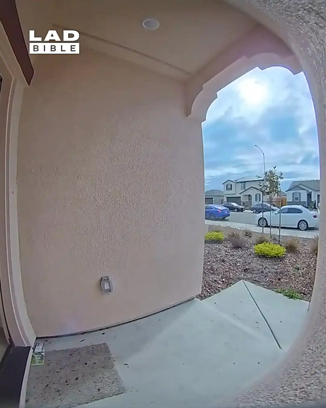 Dog sprints out the house without his wheelchair 😅