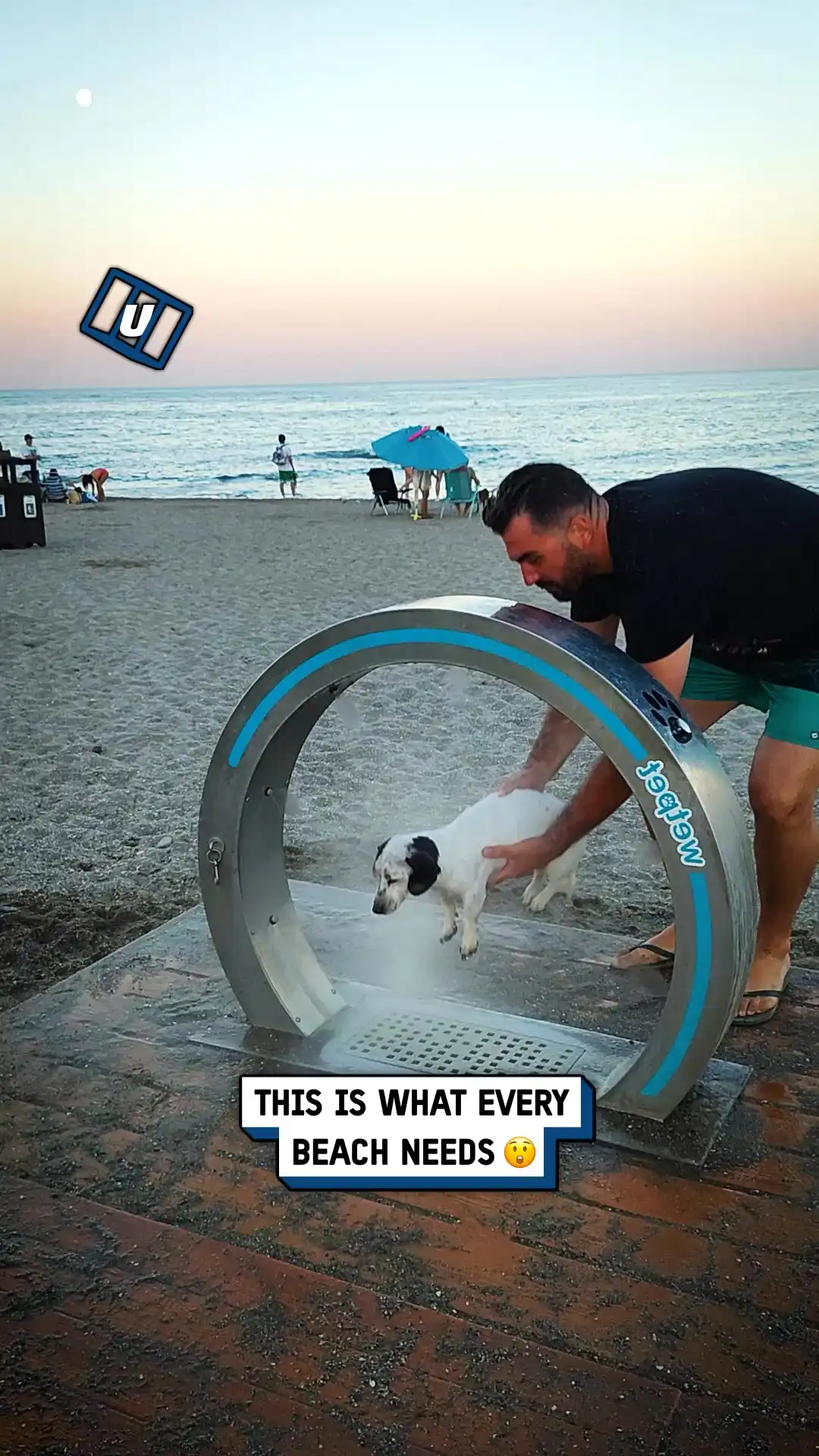 Beach pet bath 🐶🛁