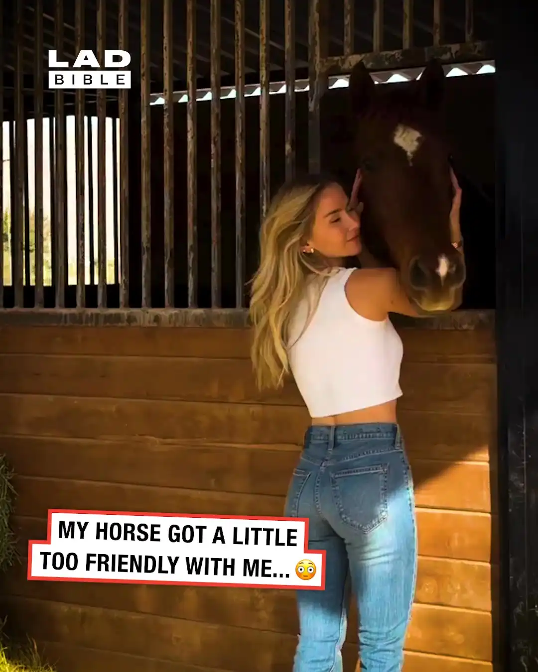 Horse Got a Bit Too Friendly 🐴