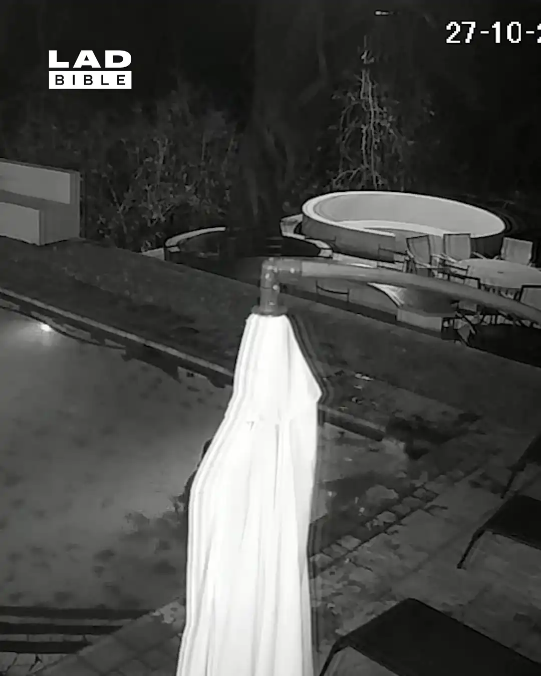 Croc Attacks Couple in Private Swimming Pool 💦🐊