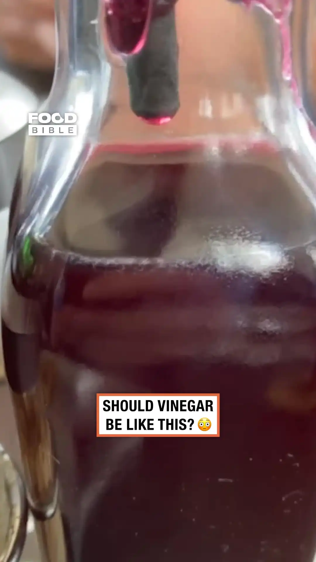 Restaurant Vinegar 🪱