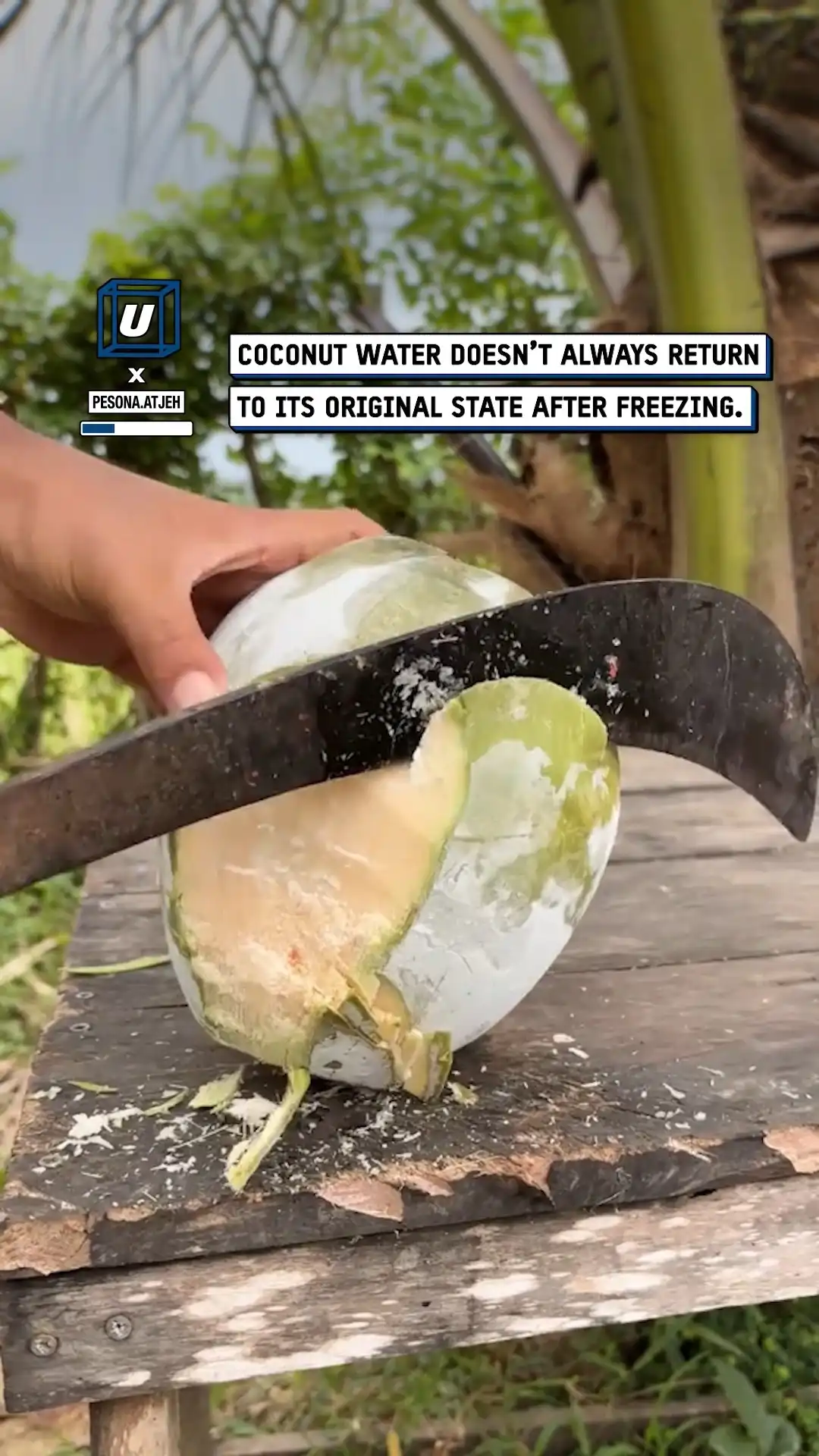 Chopping a frozen coconut π₯₯π₯Ά