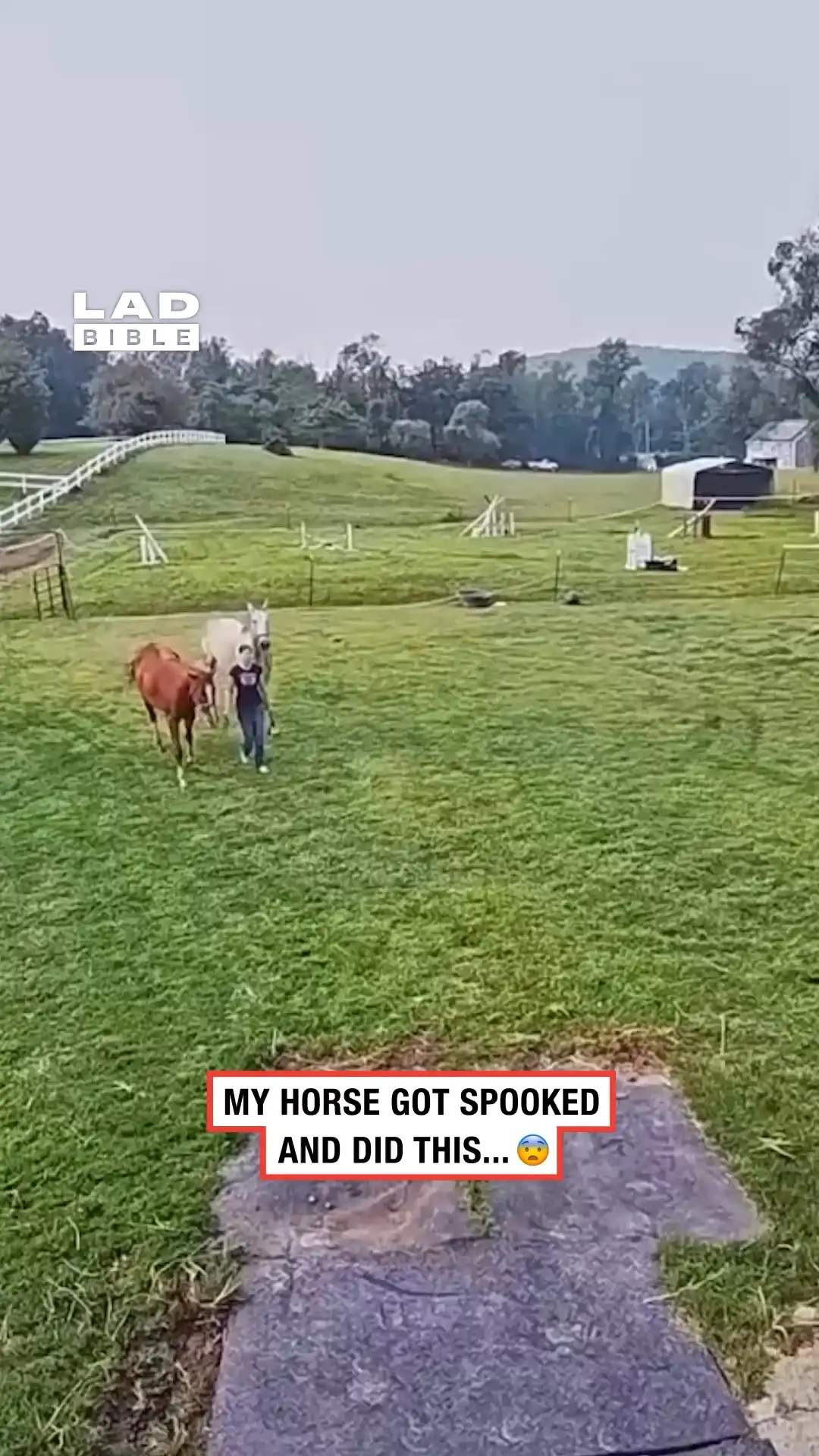 My horse got spooked and kicked me in the face π³π΄