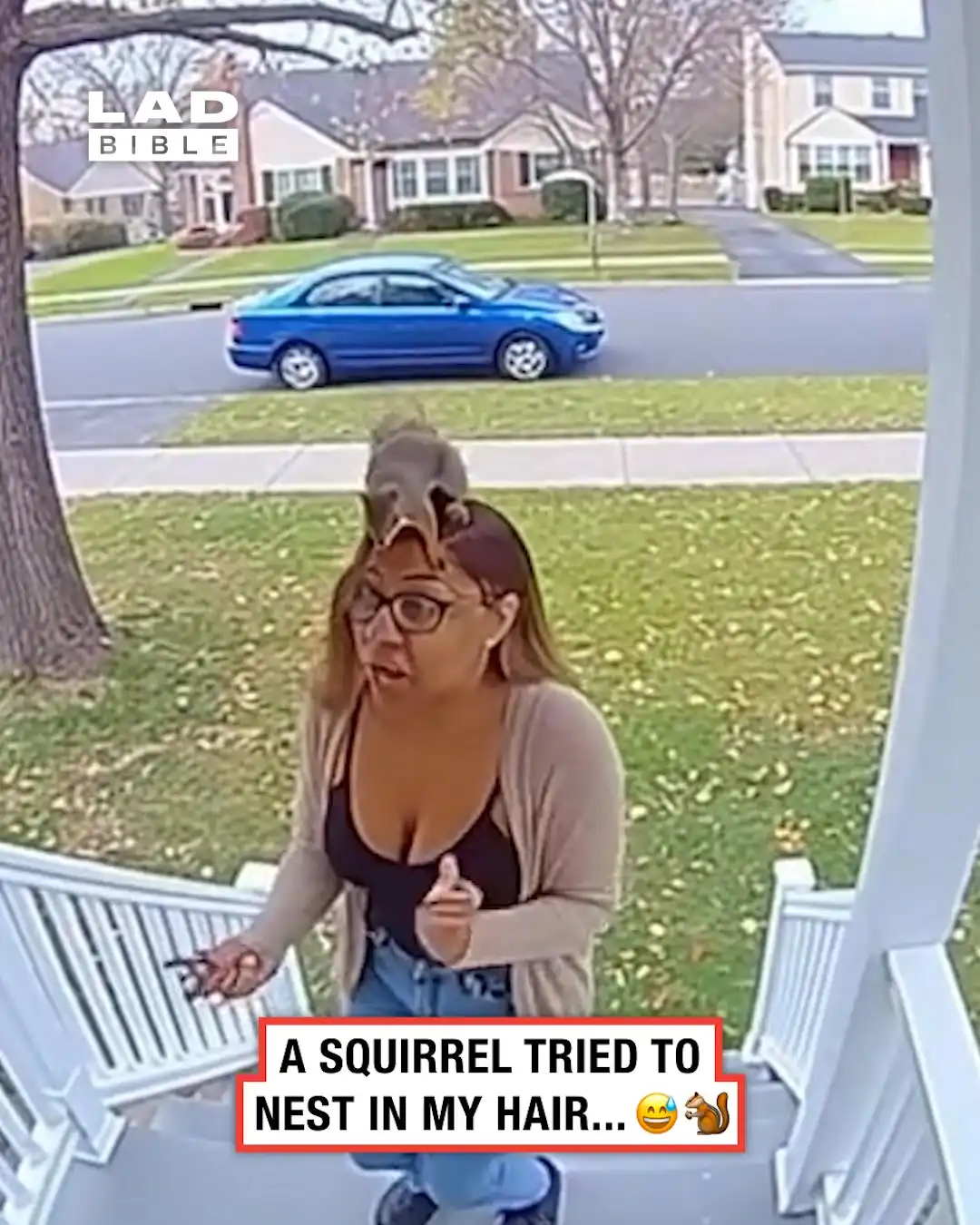 A squirrel tried to nest in my hair 😮🐿️