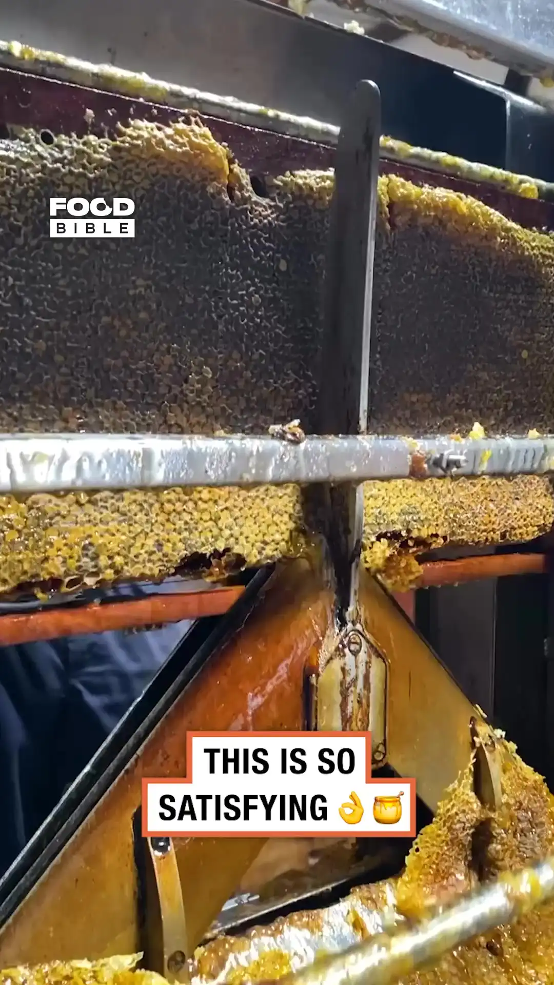 Honey processing machine 🍯