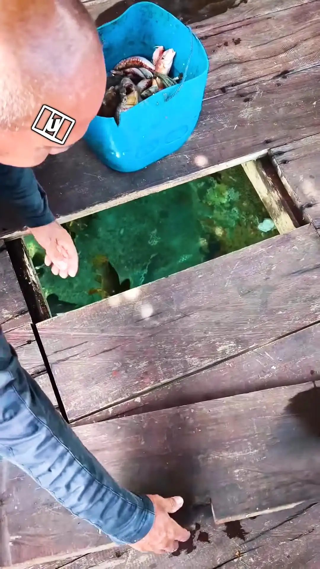 Hungry fish fight for food 🐟💦